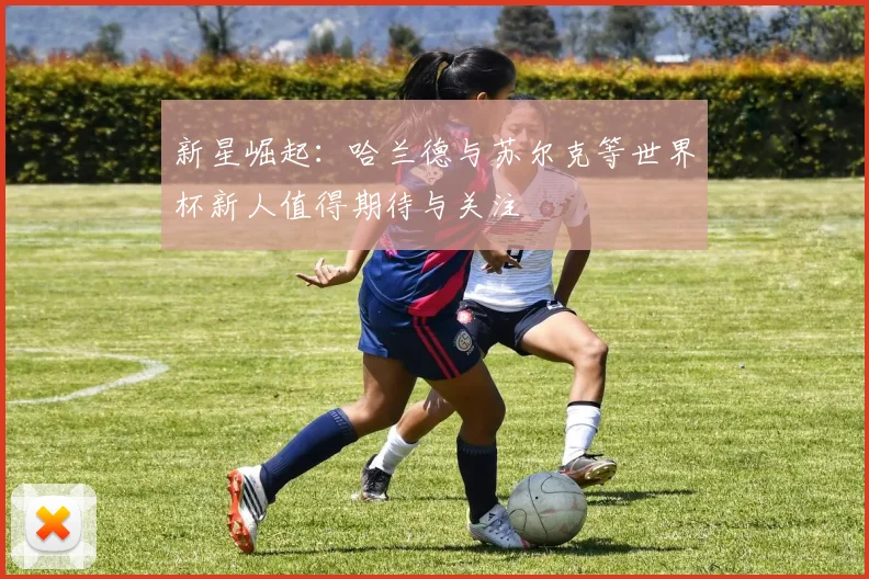 新星崛起：哈兰德与苏尔克等世界杯新人值得期待与关注