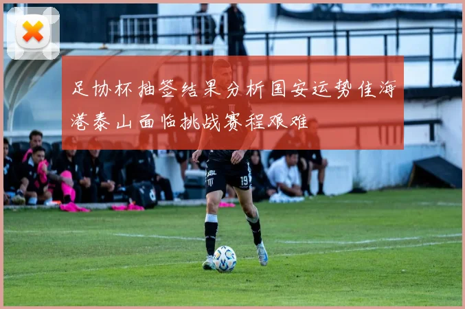 足协杯抽签结果分析国安运势佳海港泰山面临挑战赛程艰难