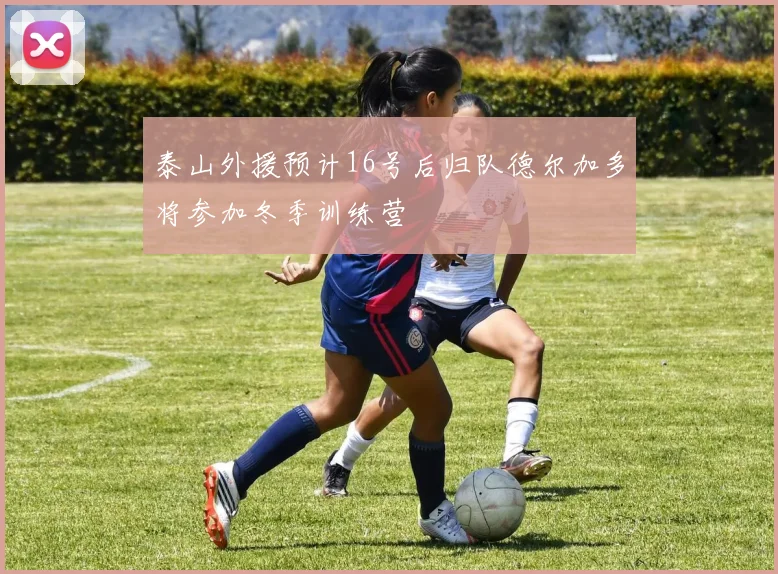 泰山外援预计16号后归队德尔加多将参加冬季训练营